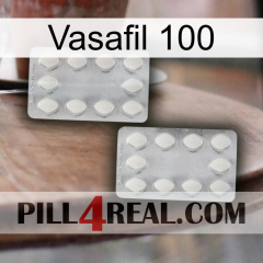 Vasafil 100 17